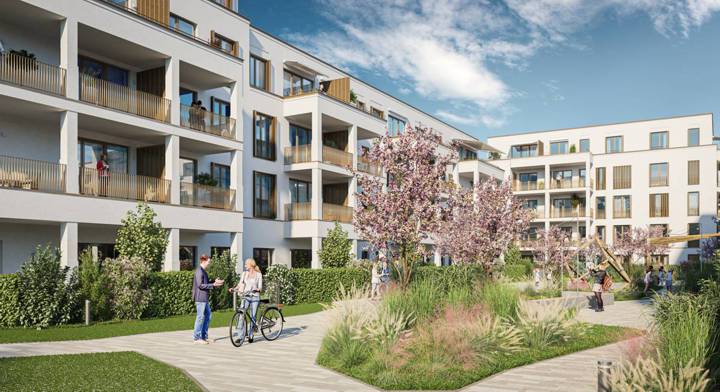 PANDION BASTIDE Asperg