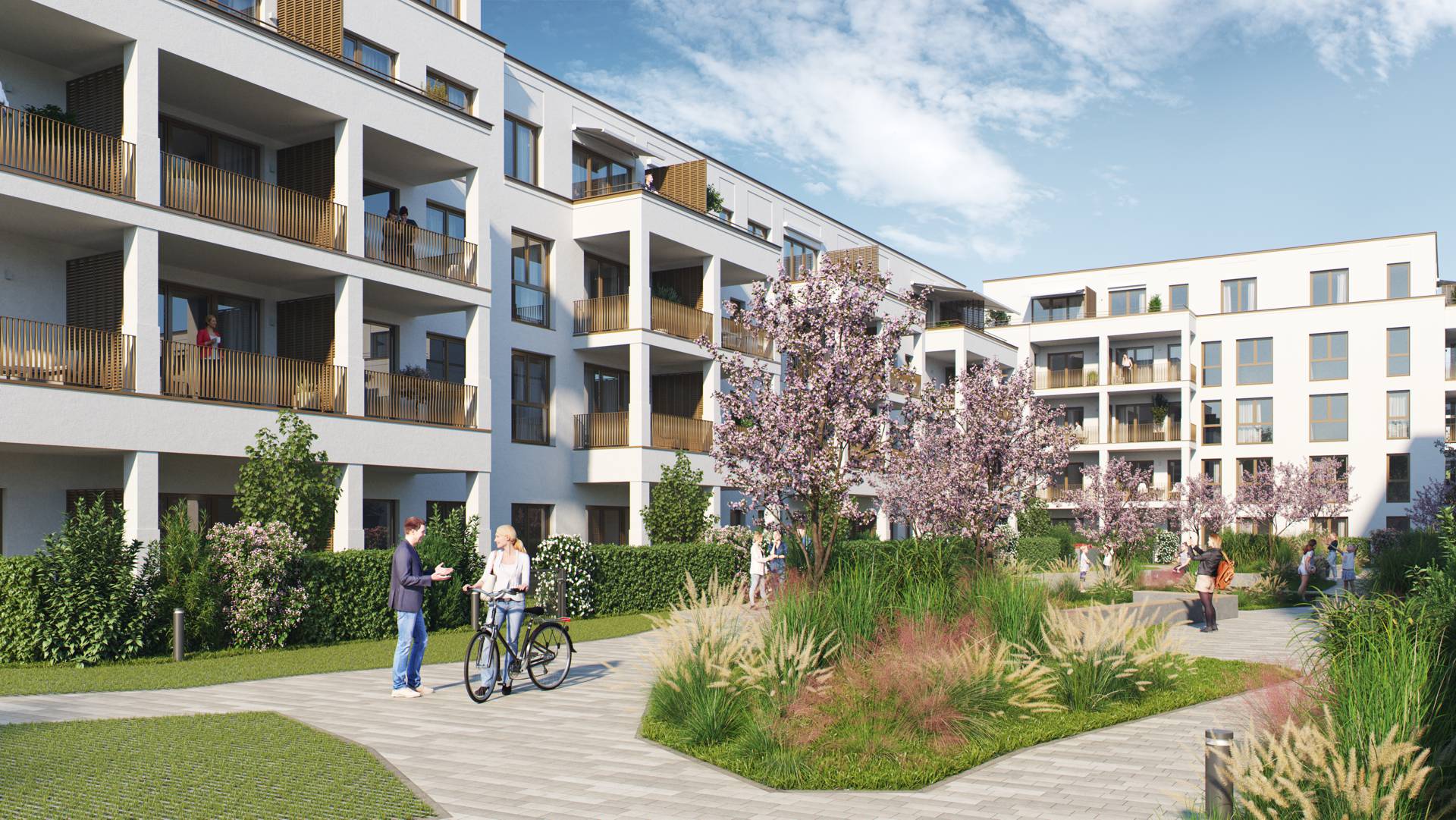 PANDION BASTIDE Asperg