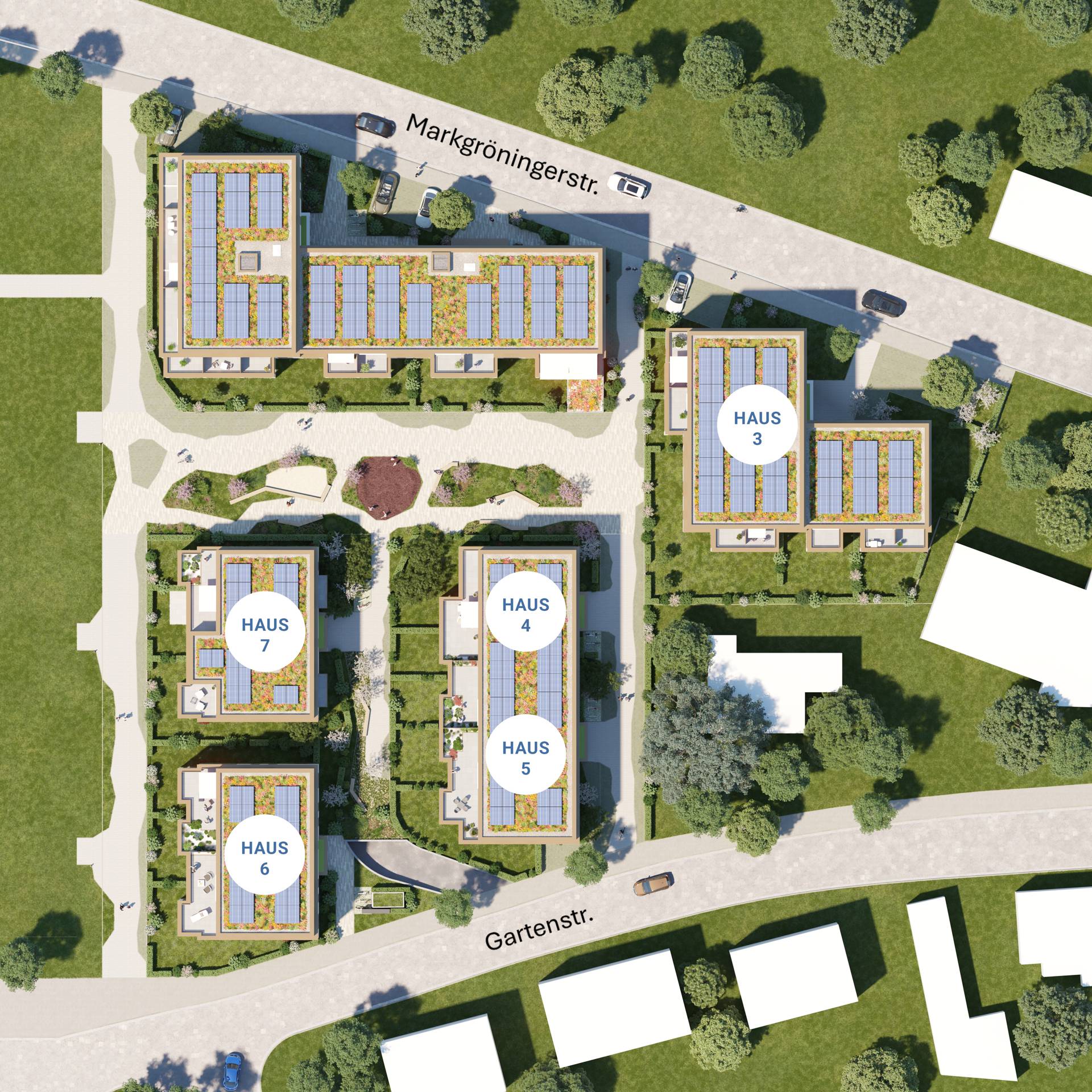 PANDION BASTIDE Asperg