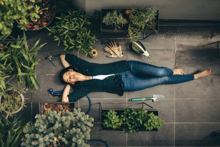 PANDION COSY KÖLN BRAUNSFELD